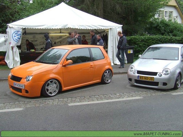 apsik_117.jpg
