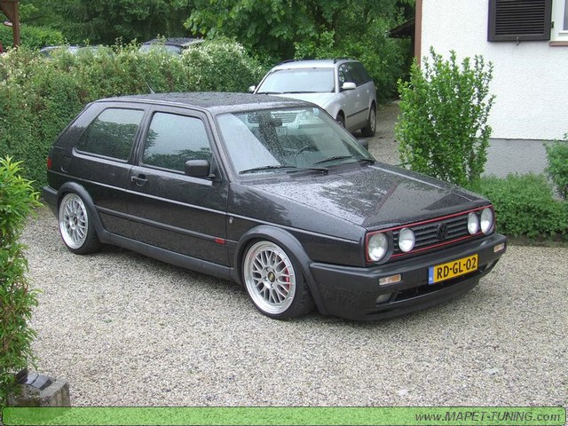 apsik_126.jpg