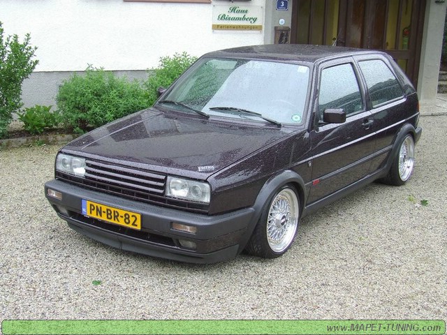 apsik_127.jpg