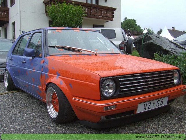 apsik_179.jpg