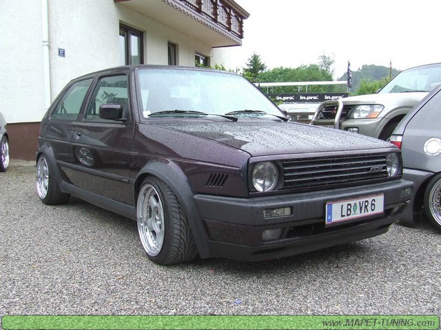 apsik_181.jpg