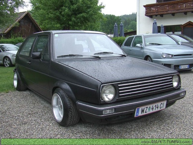 apsik_182.jpg