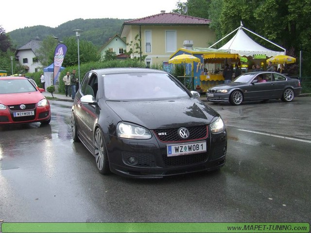 apsik_184.jpg