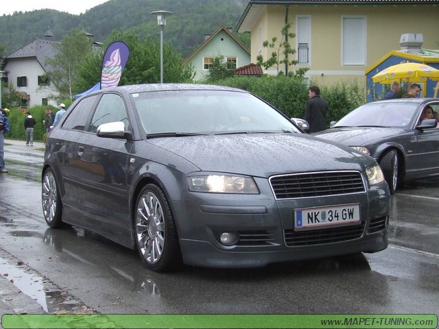 apsik_186.jpg