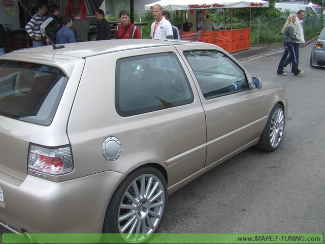 apsik_234.jpg