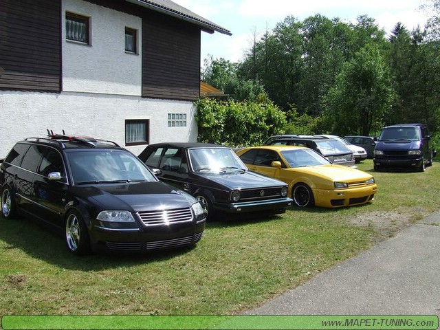 apsik_248.jpg