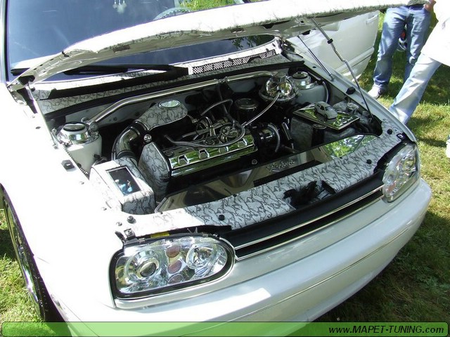 apsik_277.jpg