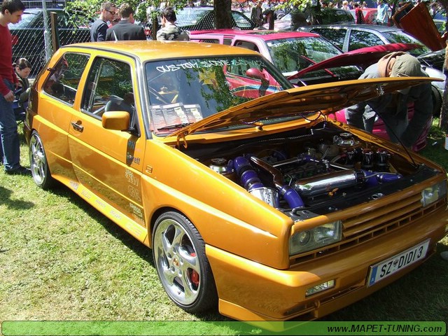 apsik_282.jpg