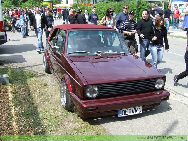 apsik_296.jpg
