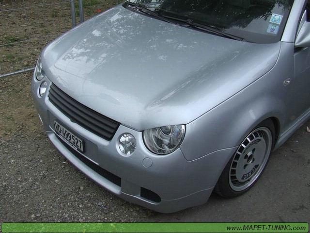 apsik_329.jpg