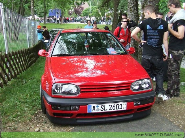 apsik_331.jpg