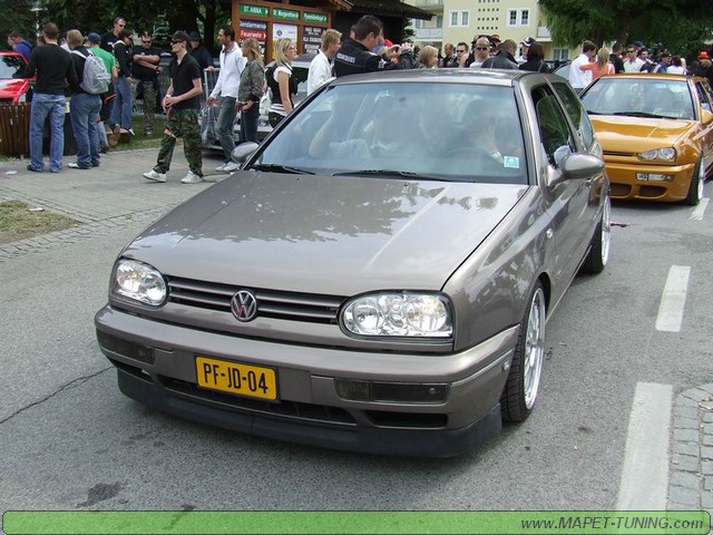 apsik_343.jpg
