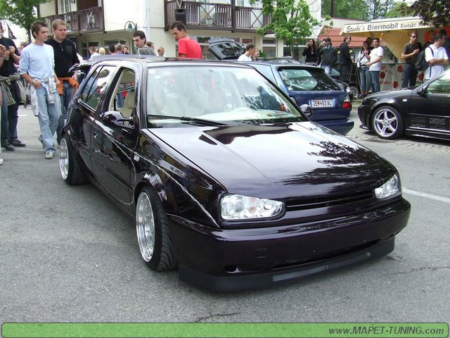 apsik_347.jpg