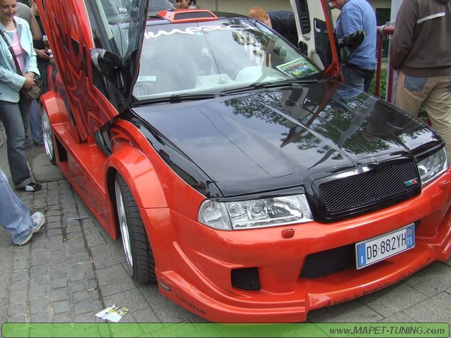 apsik_363.jpg
