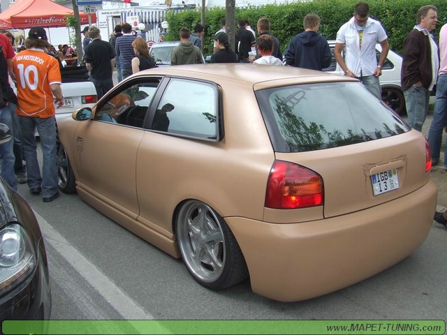 apsik_367.jpg