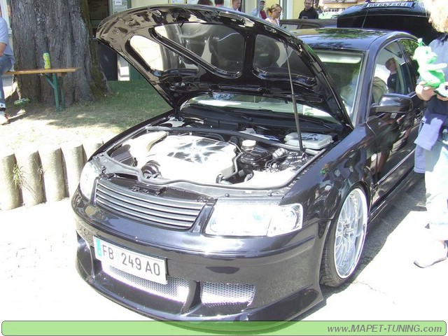 apsik_443.jpg