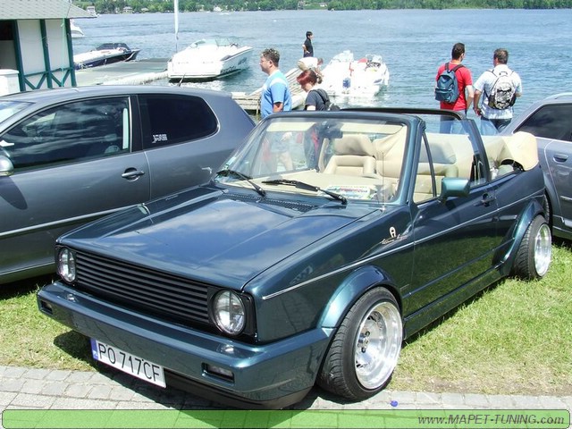 apsik_481.jpg