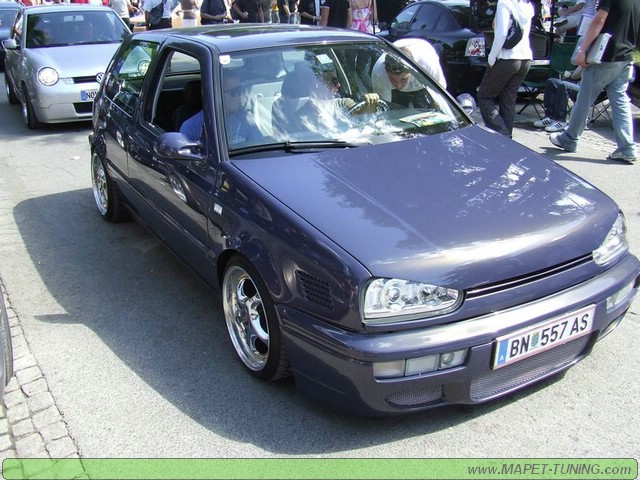 apsik_494.jpg