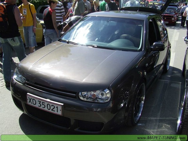 apsik_497.jpg