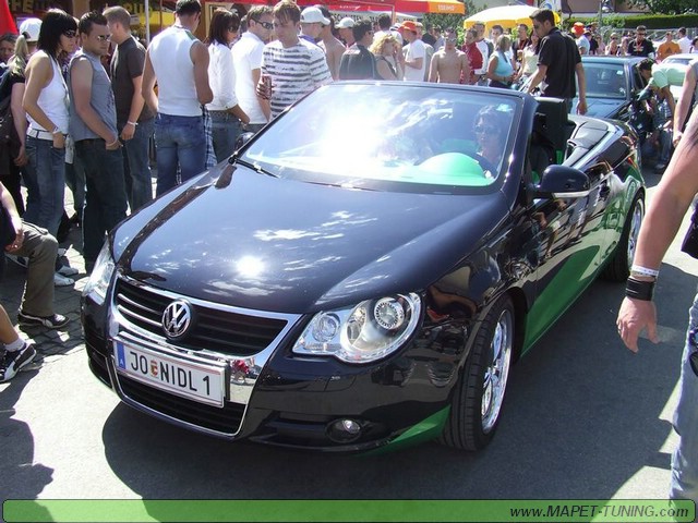 apsik_500.jpg
