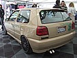 apsik_086.jpg