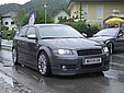 apsik_186.jpg