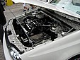IMG_1926.JPG