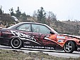 IMG_2229.jpg