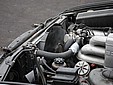 IMG_2402.jpg